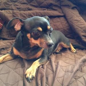 Meet your Posher, Edda